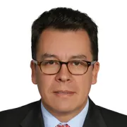 Nelson Javier Pulido Daza